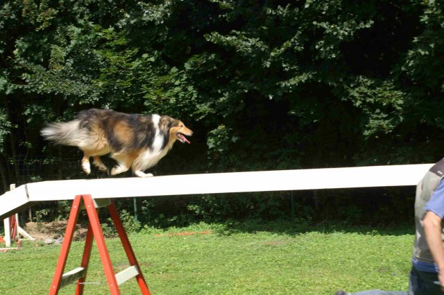 agility 2011-07-24